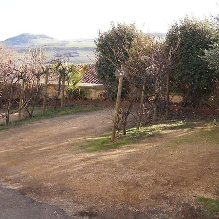 Les Pierres Blondes Appartement Montpeyroux  Buitenkant foto