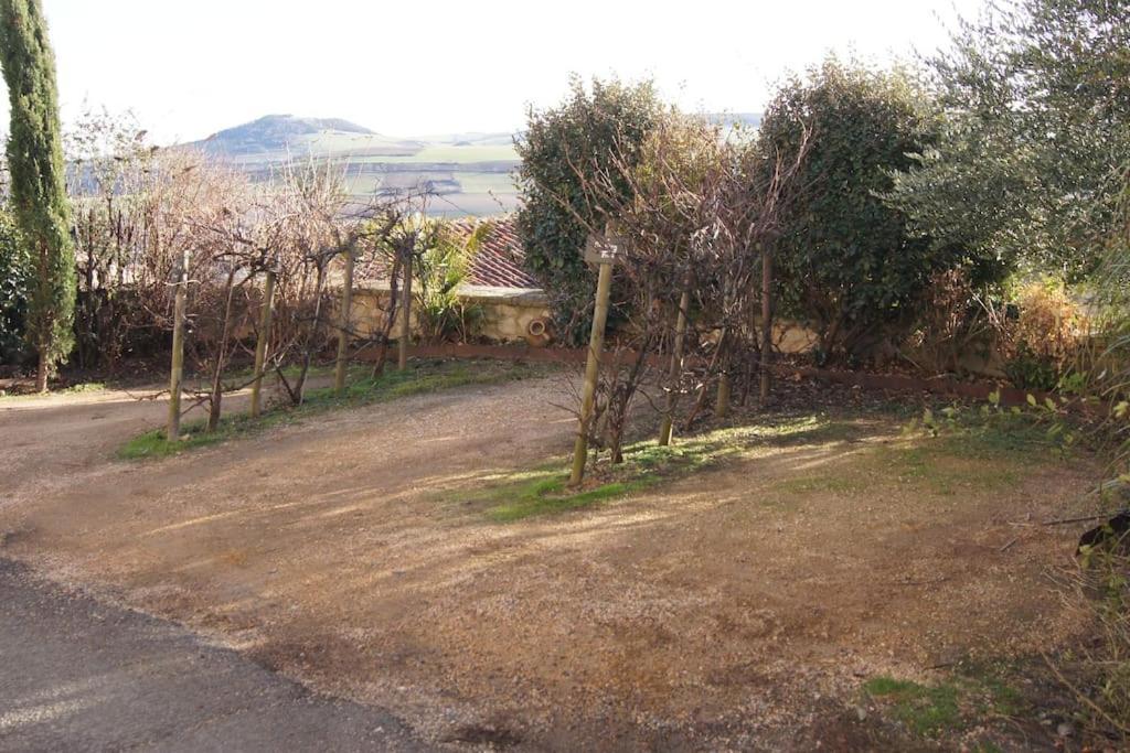 Les Pierres Blondes Appartement Montpeyroux  Buitenkant foto